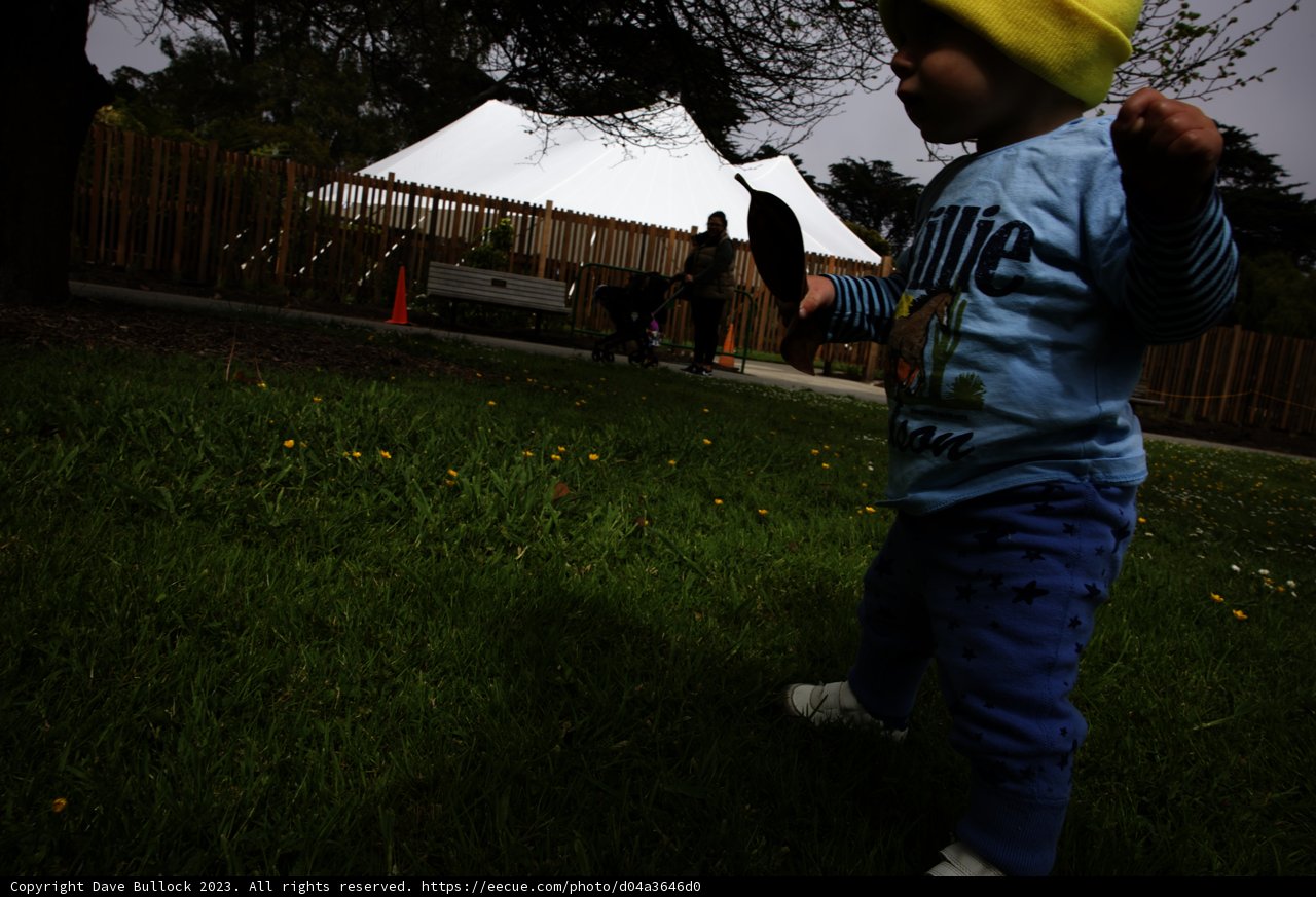 A Sunny Day of Play at San Francisco Botanical Garden