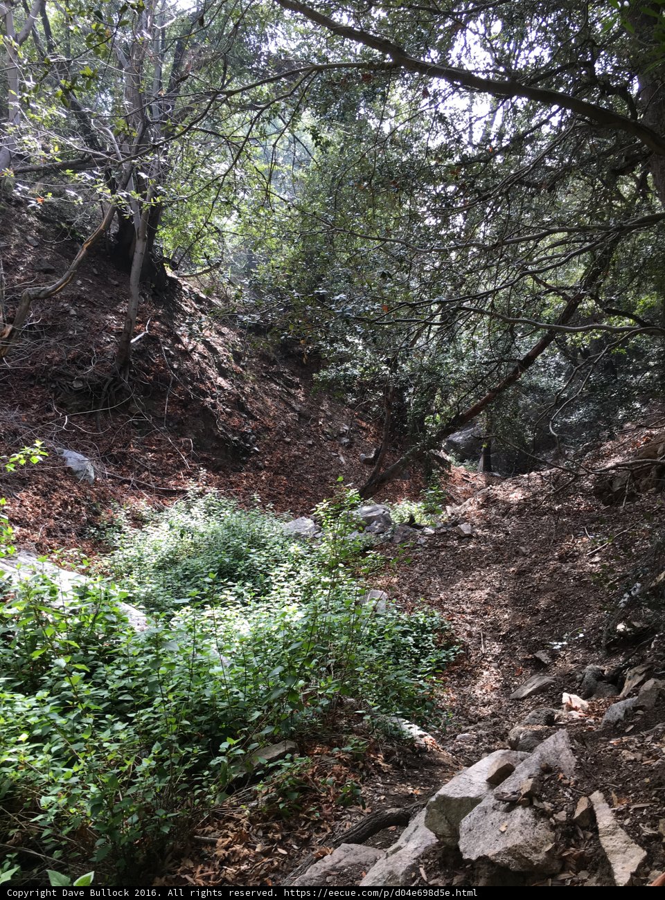 Journey Through the Wilderness