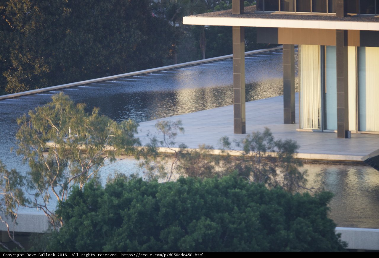 Oasis in the City