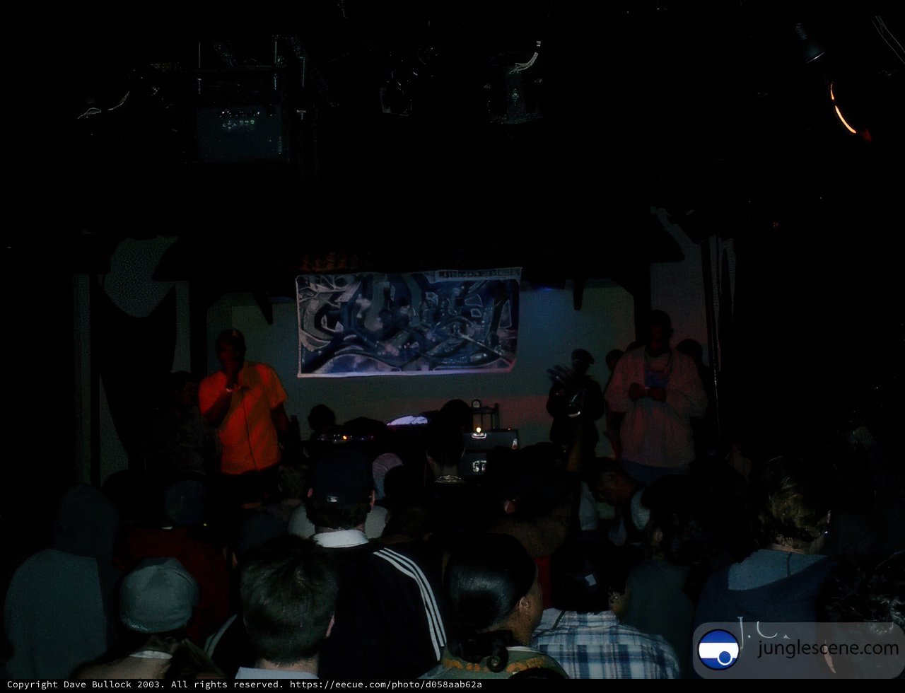 Energized Crowd at Urban Night Club