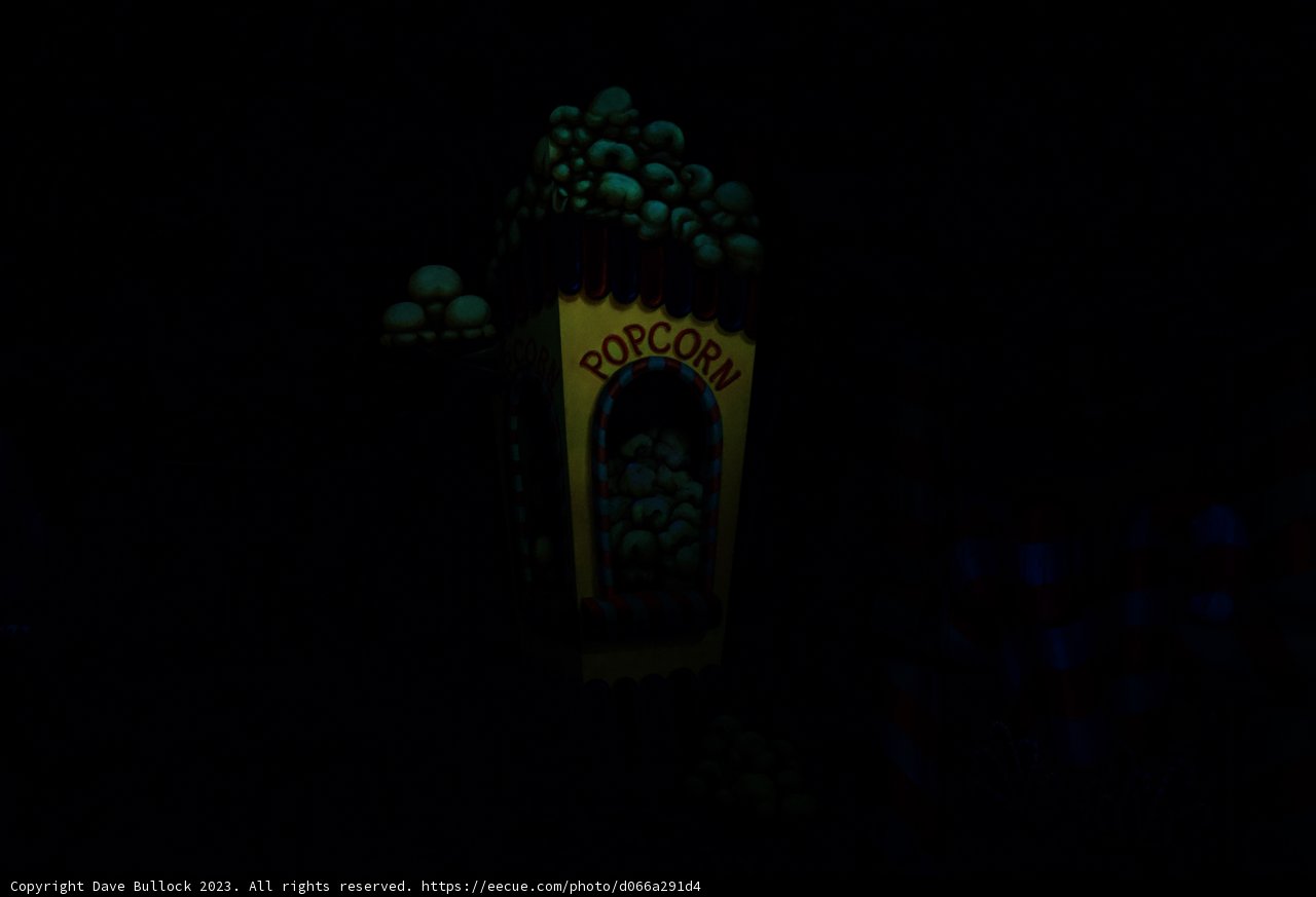 Sweet Wonderland at Night