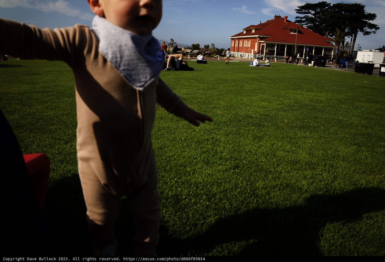 A Day at the Park