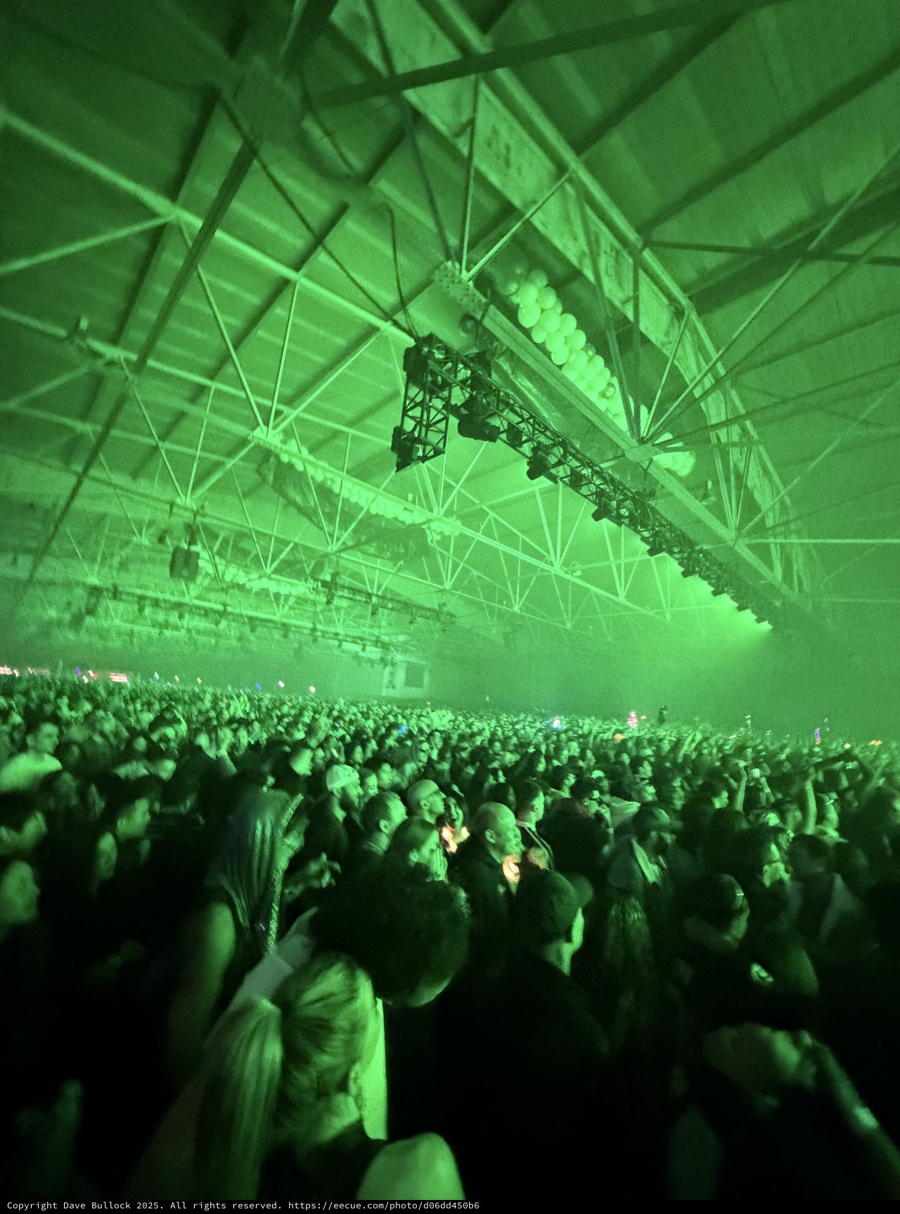 Massive Crowd Under Green Lights at Electronic Music Concert