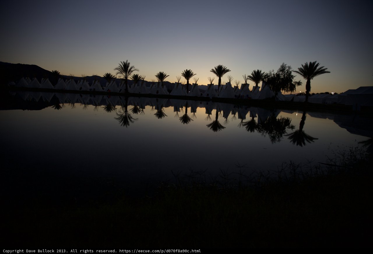 Palm Trees and Sunsets