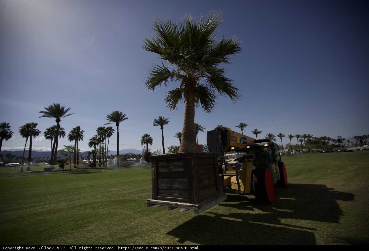 Tractor under the palms