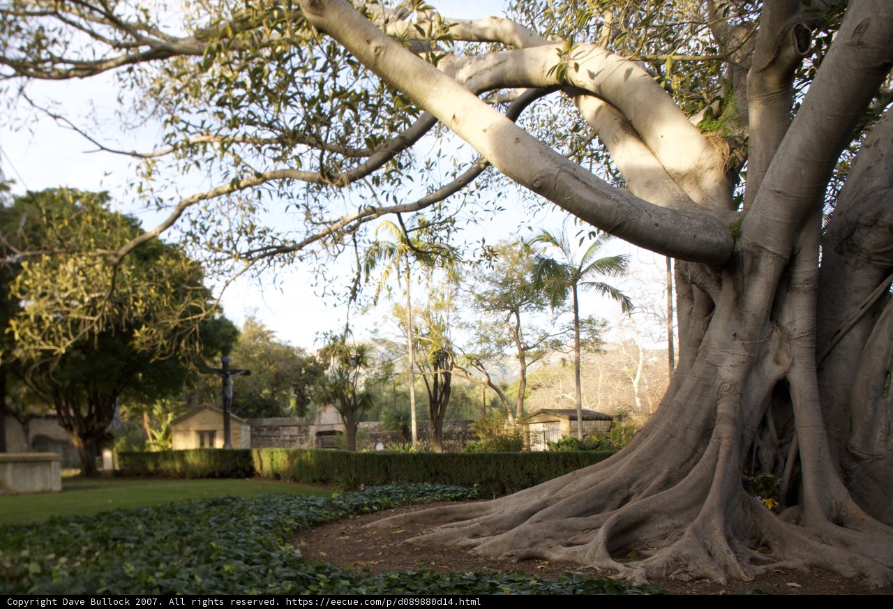 Grandeur of Nature