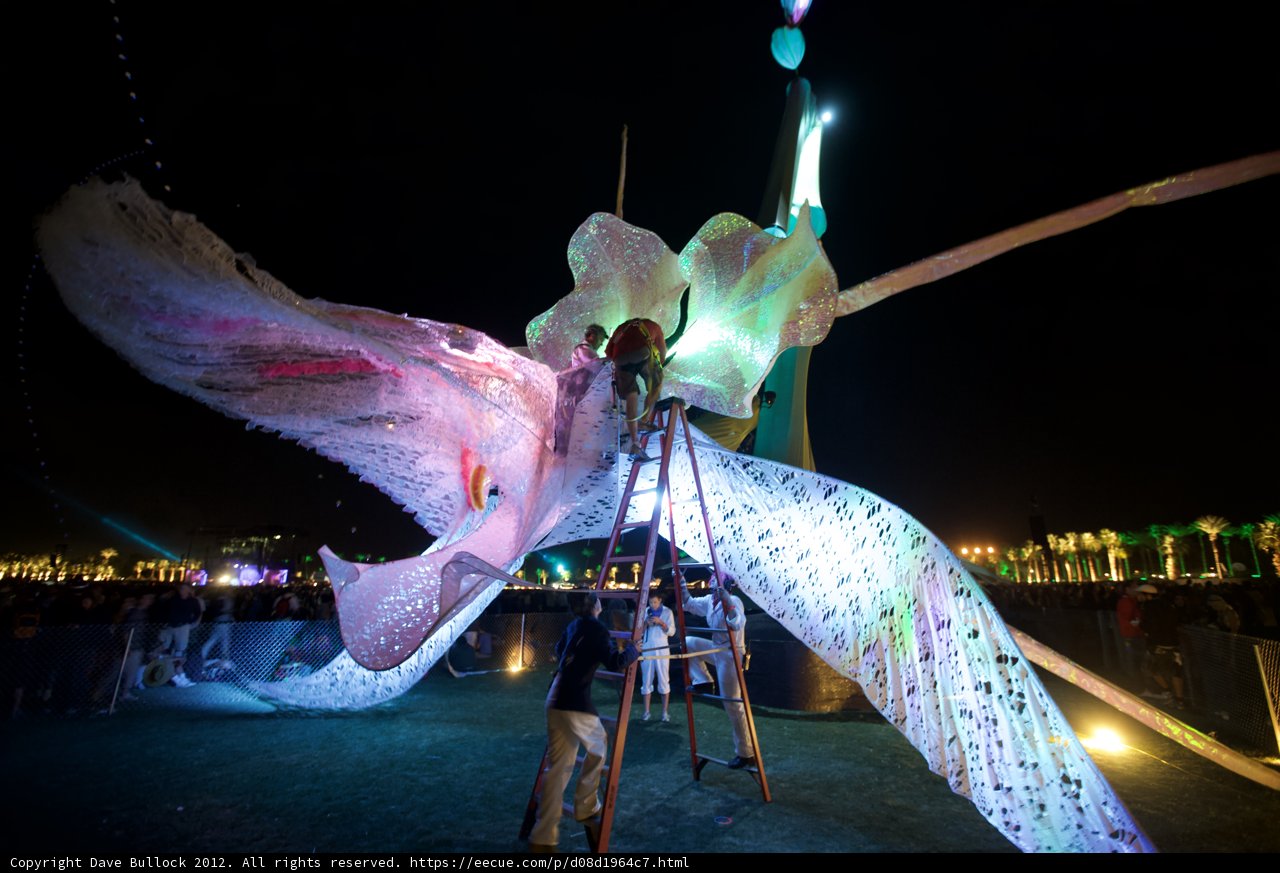 Illuminated Bird Sculpture Takes Flight at Night