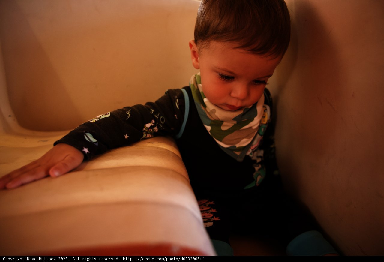 Contemplation: A Young Boy's Portrait