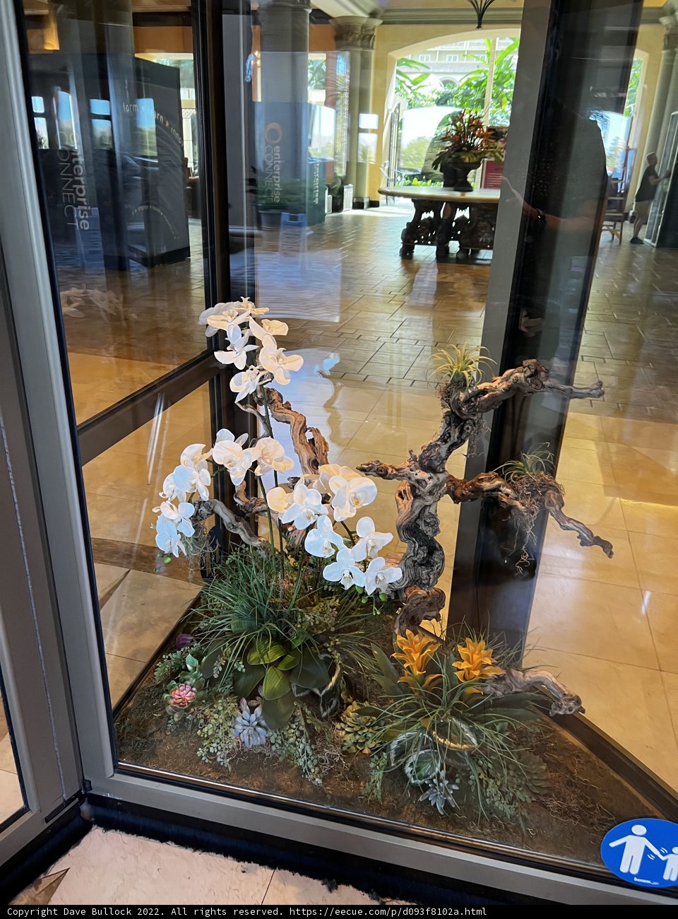 Floral Window Display in Kissimmee