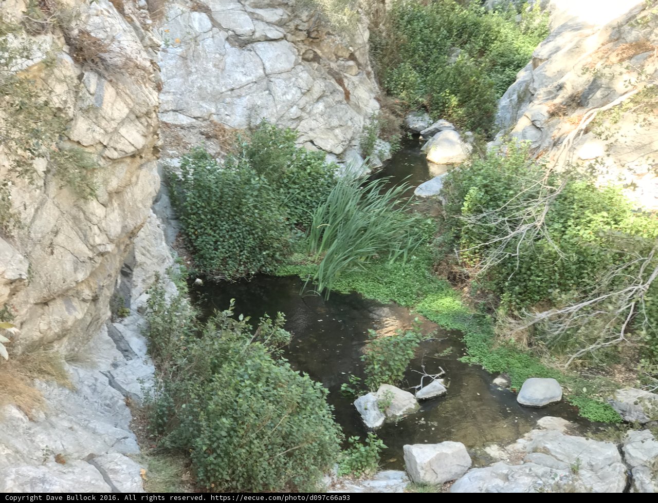 Serene Stream in the Angeles National Forest