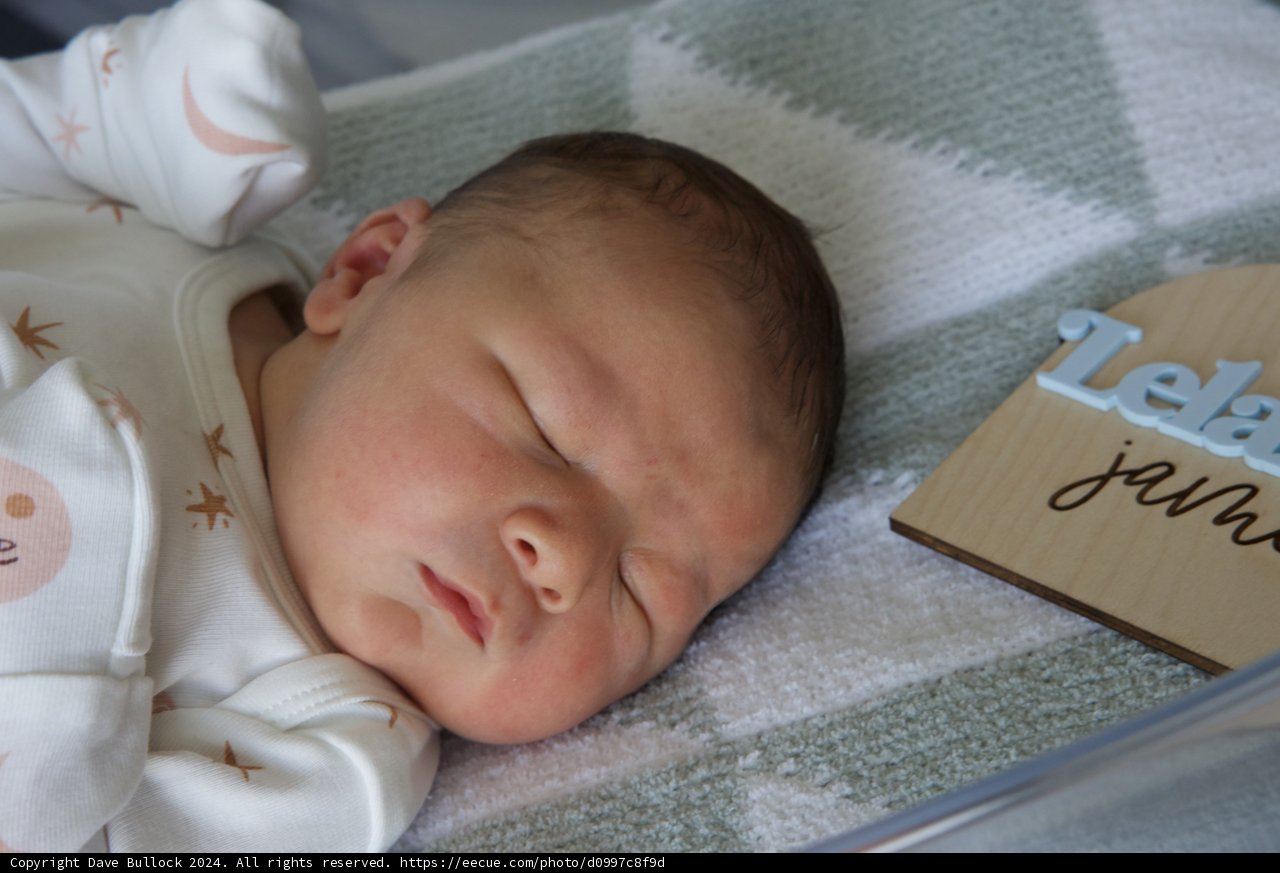 Leland's Peaceful Arrival