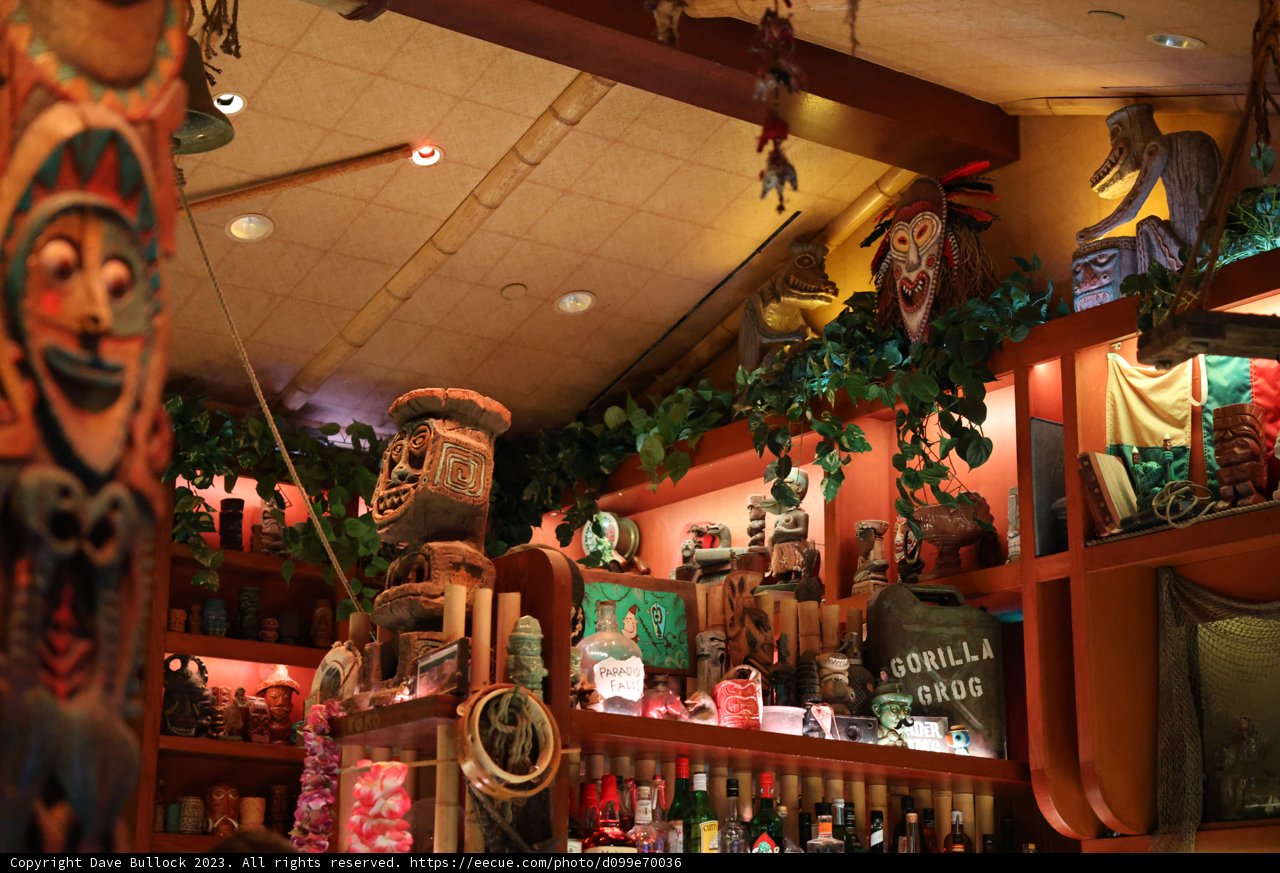 A Diverse Display in a Disney Hotel Bar