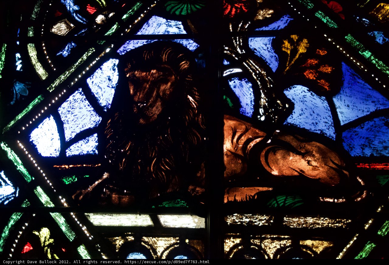 The Fierce Lion in Stained Glass