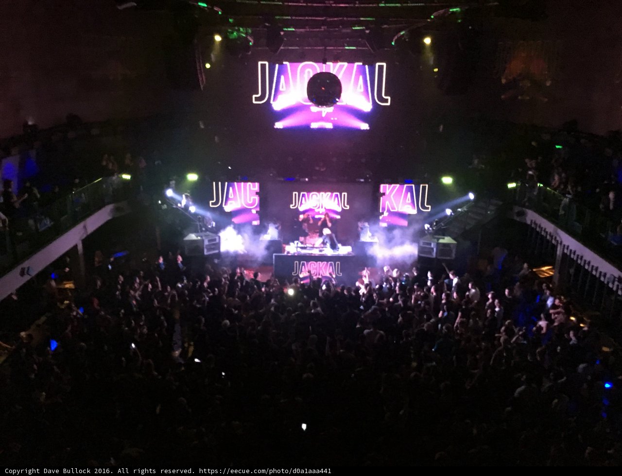 Rockin' the Night Away