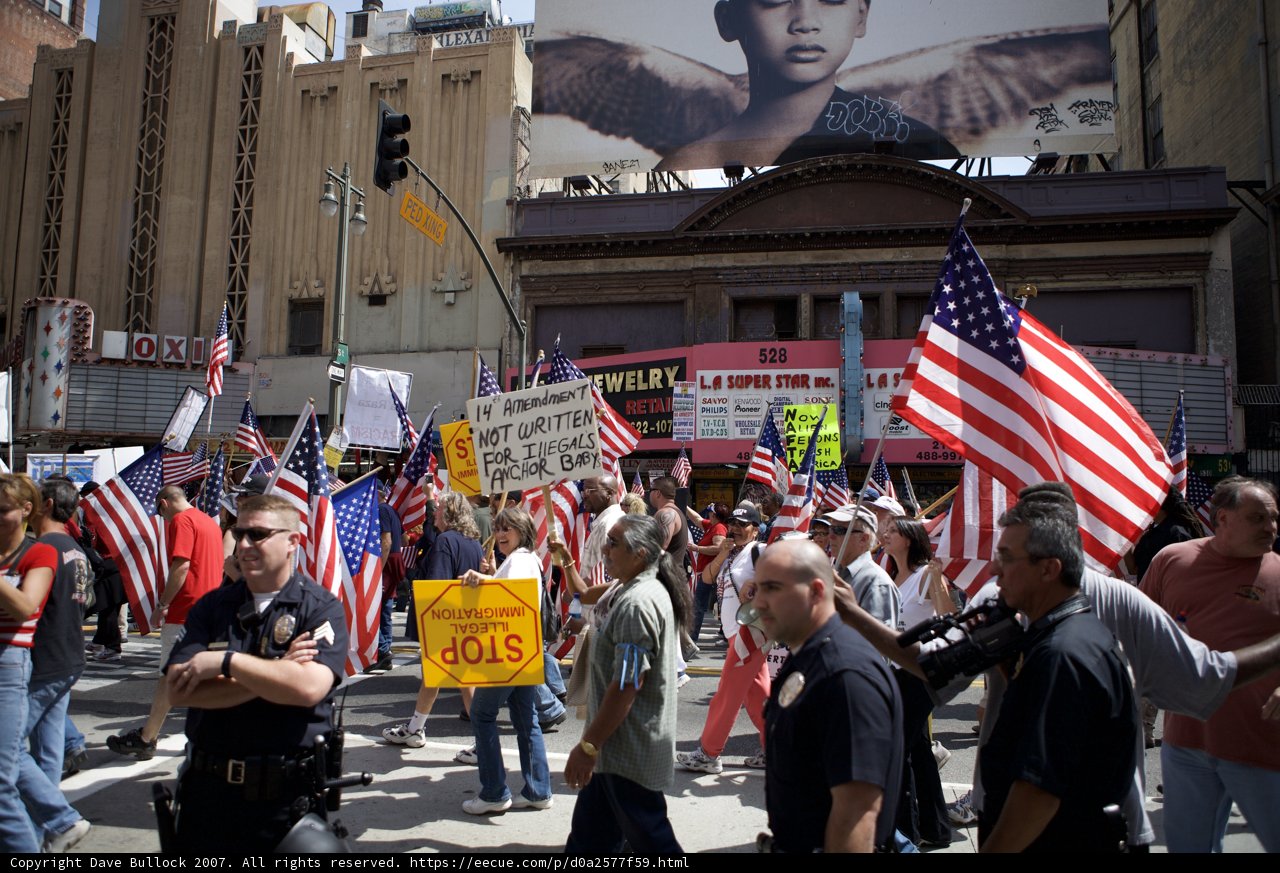 Patriotic Protesters Take to the Streets