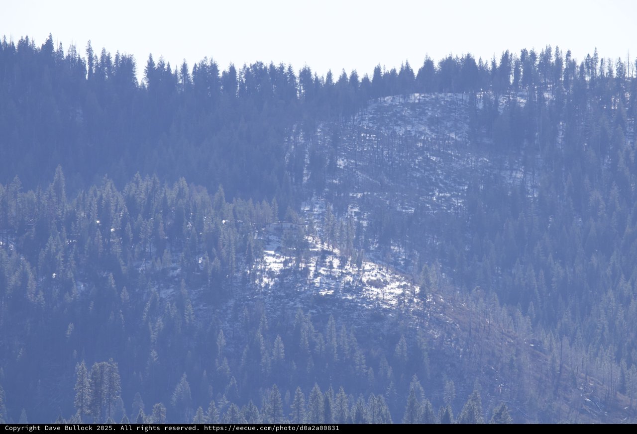 Layered Forest Ridges in Winter Haze
