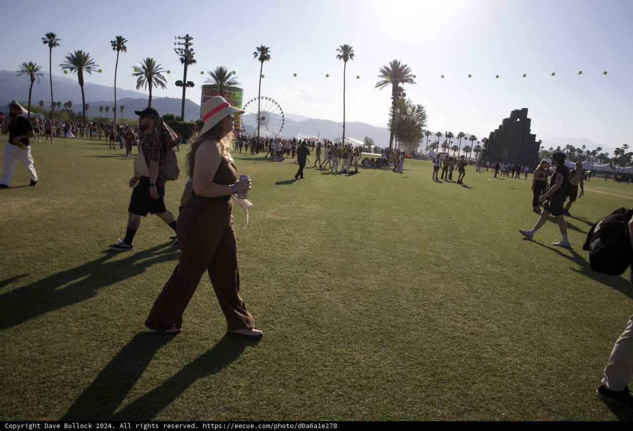 Sunny Vibes at Coachella 2024