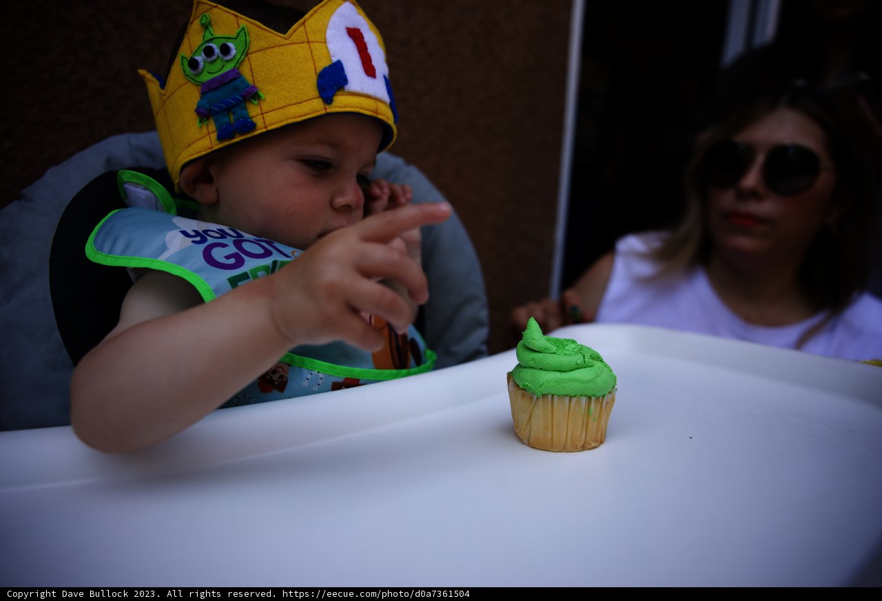 King Wesley's First Birthday Bash!