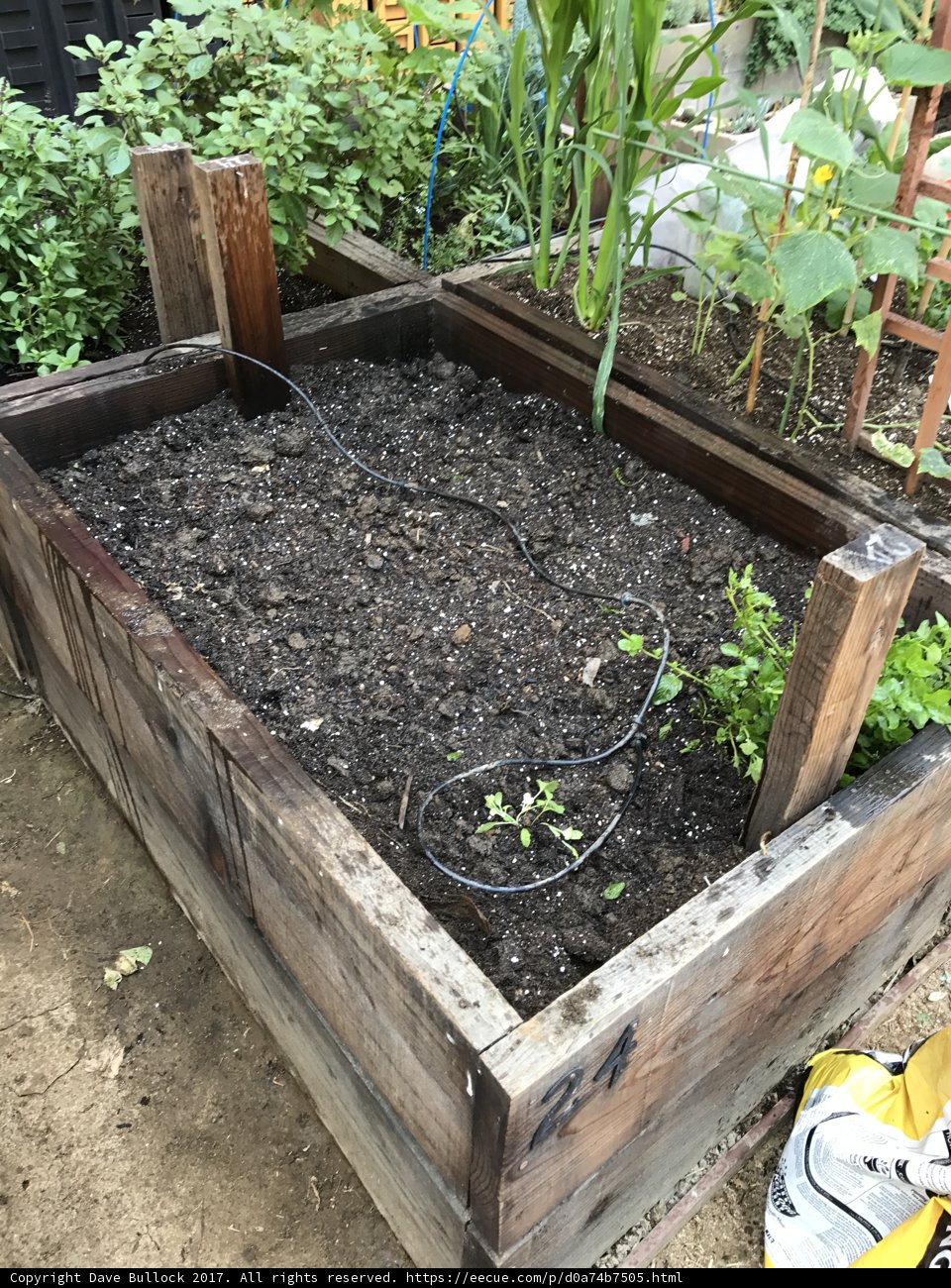 Raised Garden Bed with Potted Plants