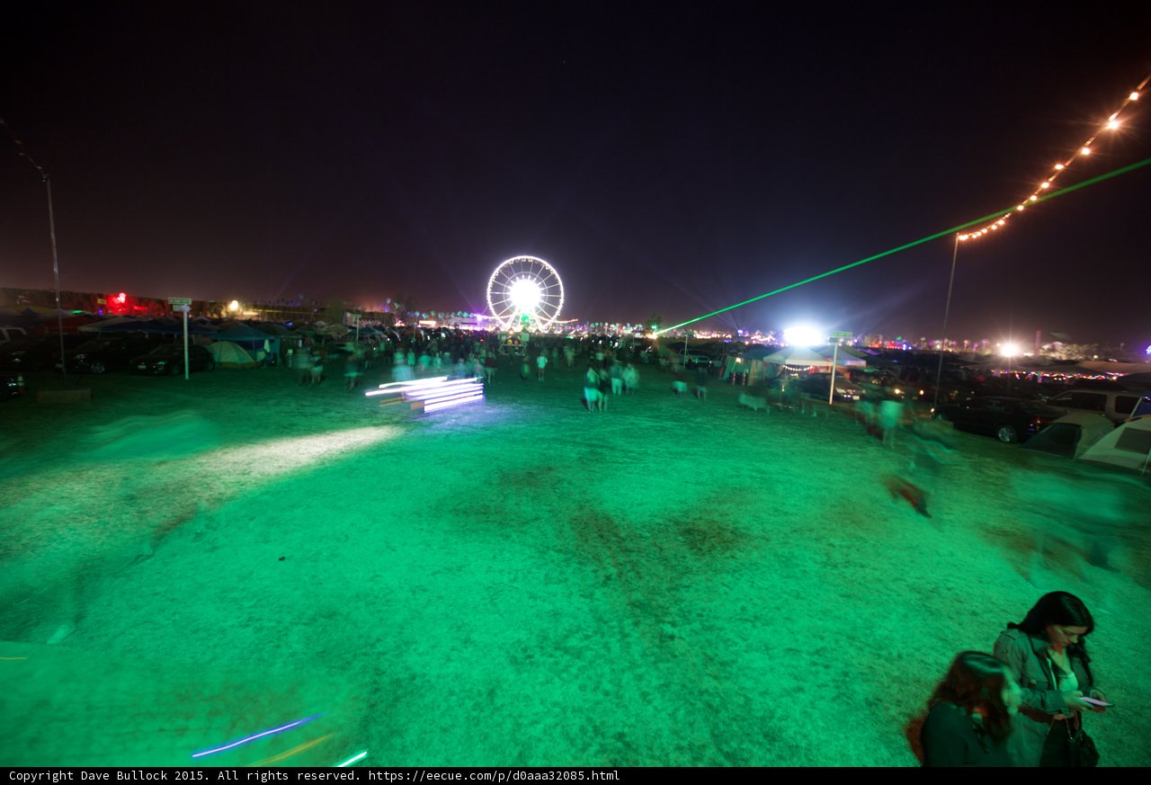 Checking Phone at Festival