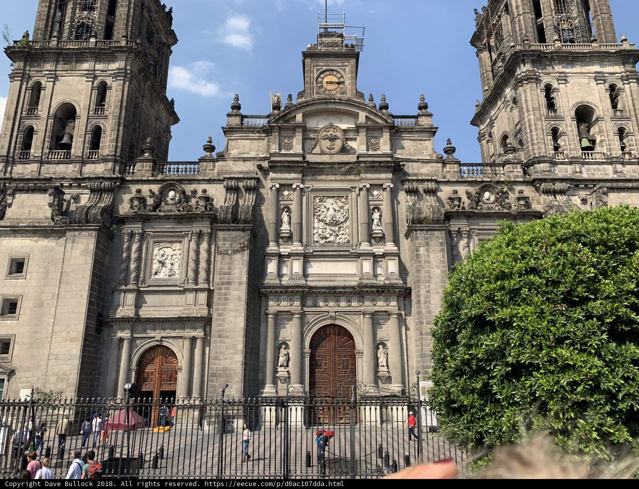 Grand Gothic Cathedral with Two Towers and a Green Tree