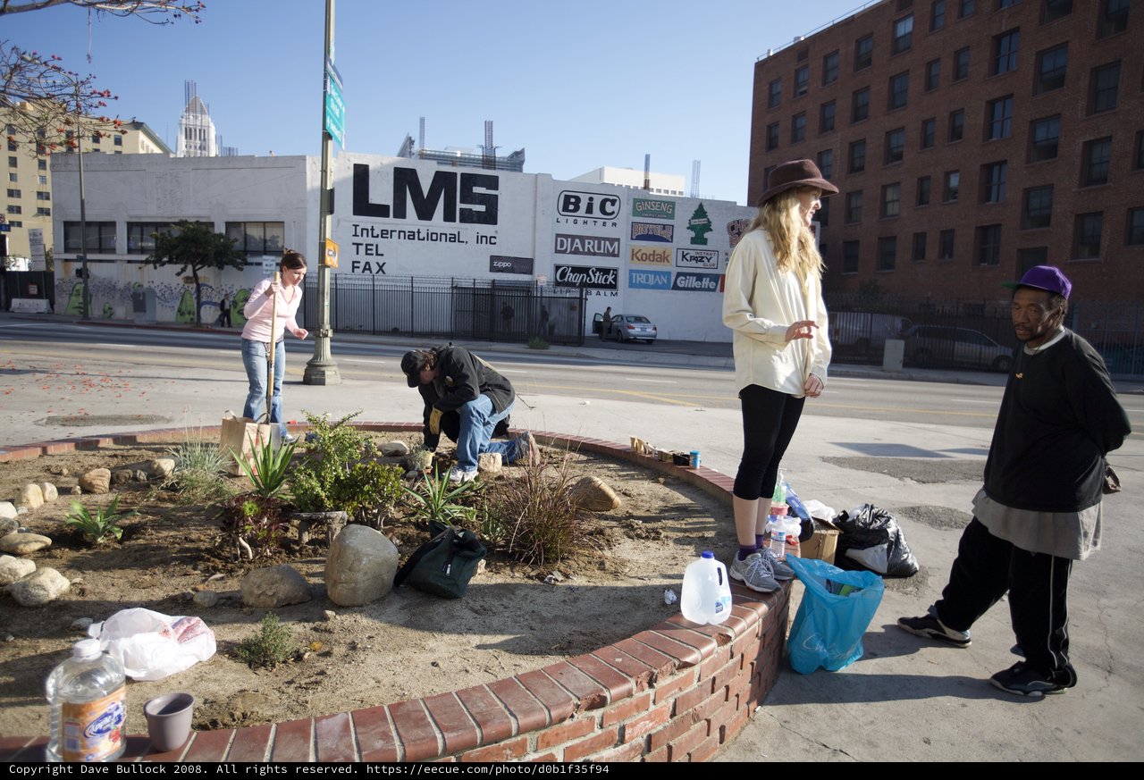 Community Guerrilla Gardening on Urban Street Corner