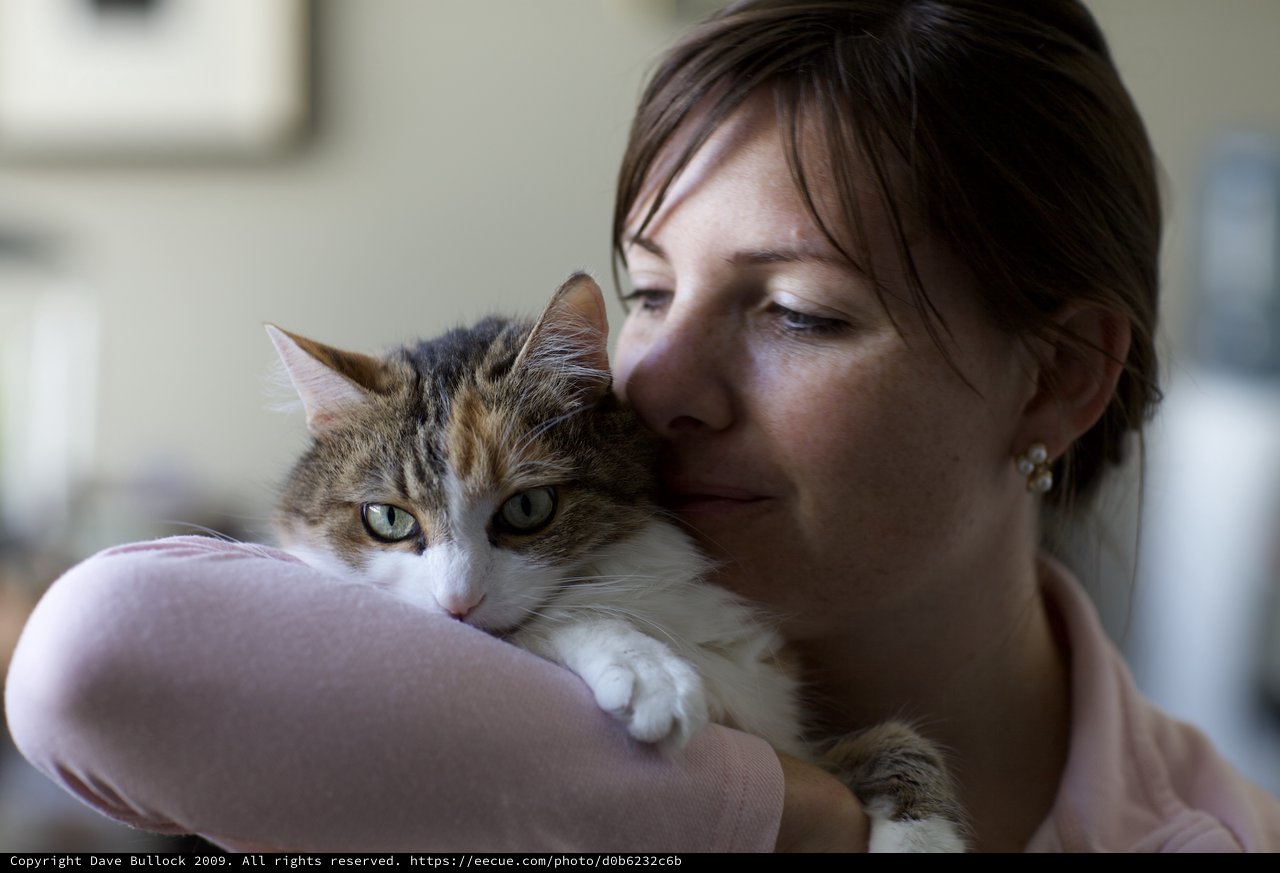 Woman Tenderly Nuzzles Her Tabby Cat Indoors