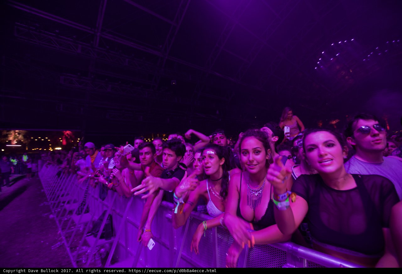 Purple Haze at Coachella