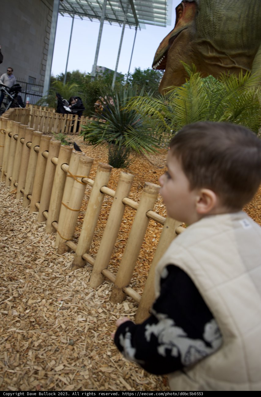 Jurassic Encounter at the Academy