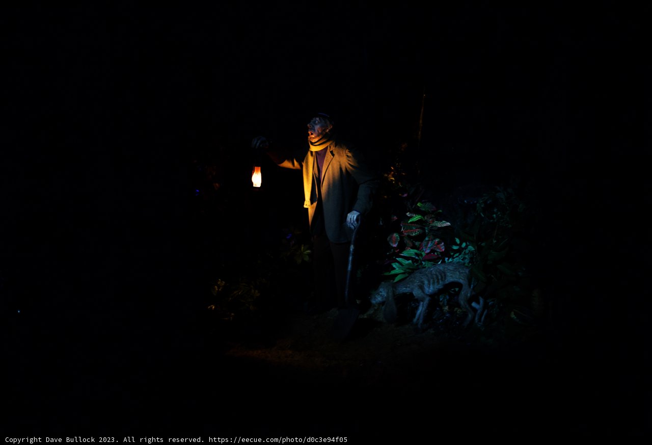 The Enlightening Explorer