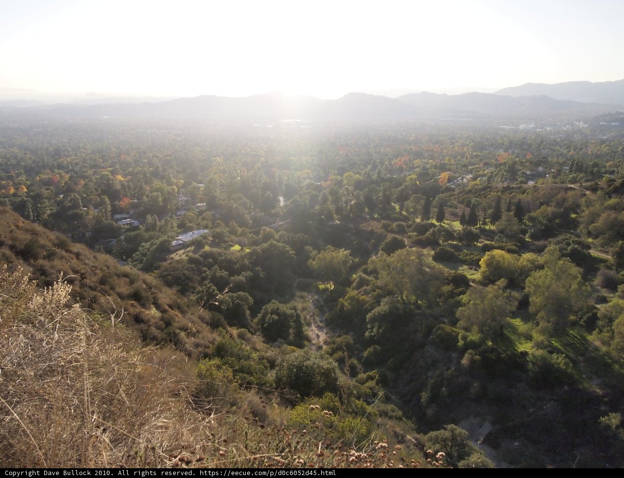 Serene Cityscape from Hilltop