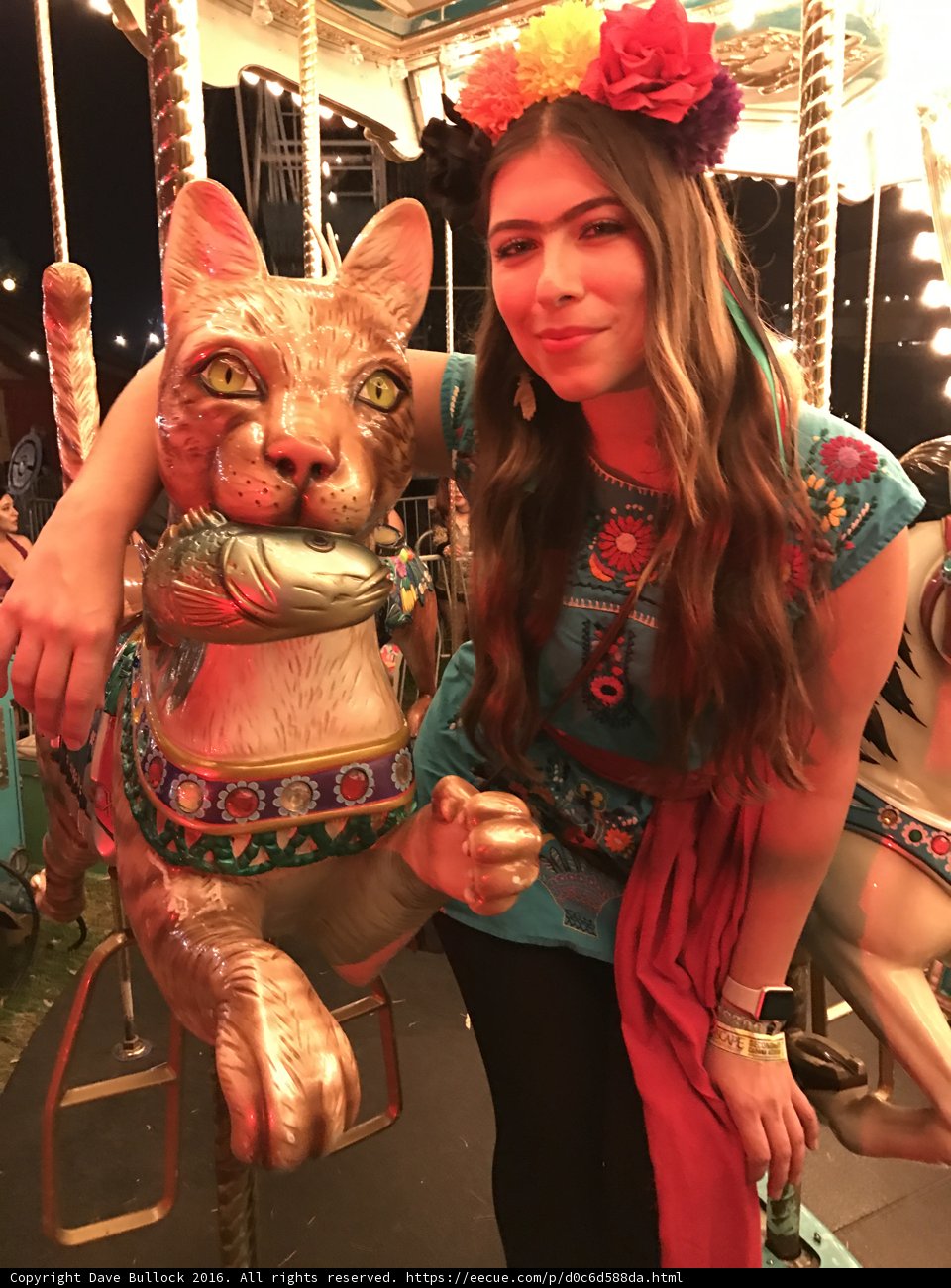 Carousel Fun