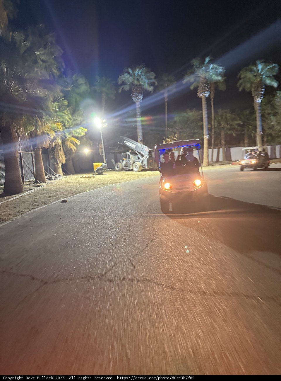 Night Lights and Palm Shadows