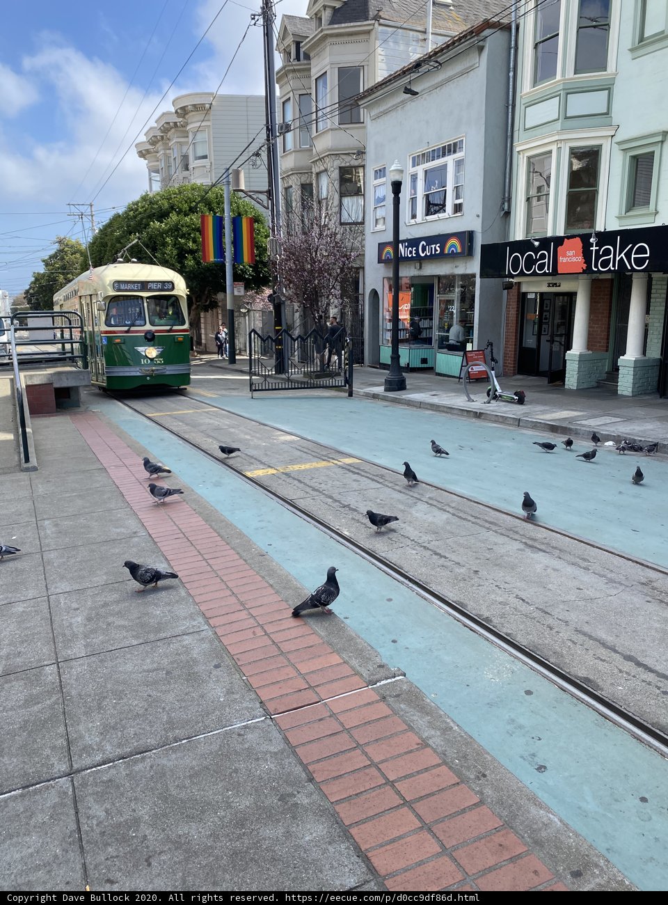 Pigeons and a Bus in the Busy City