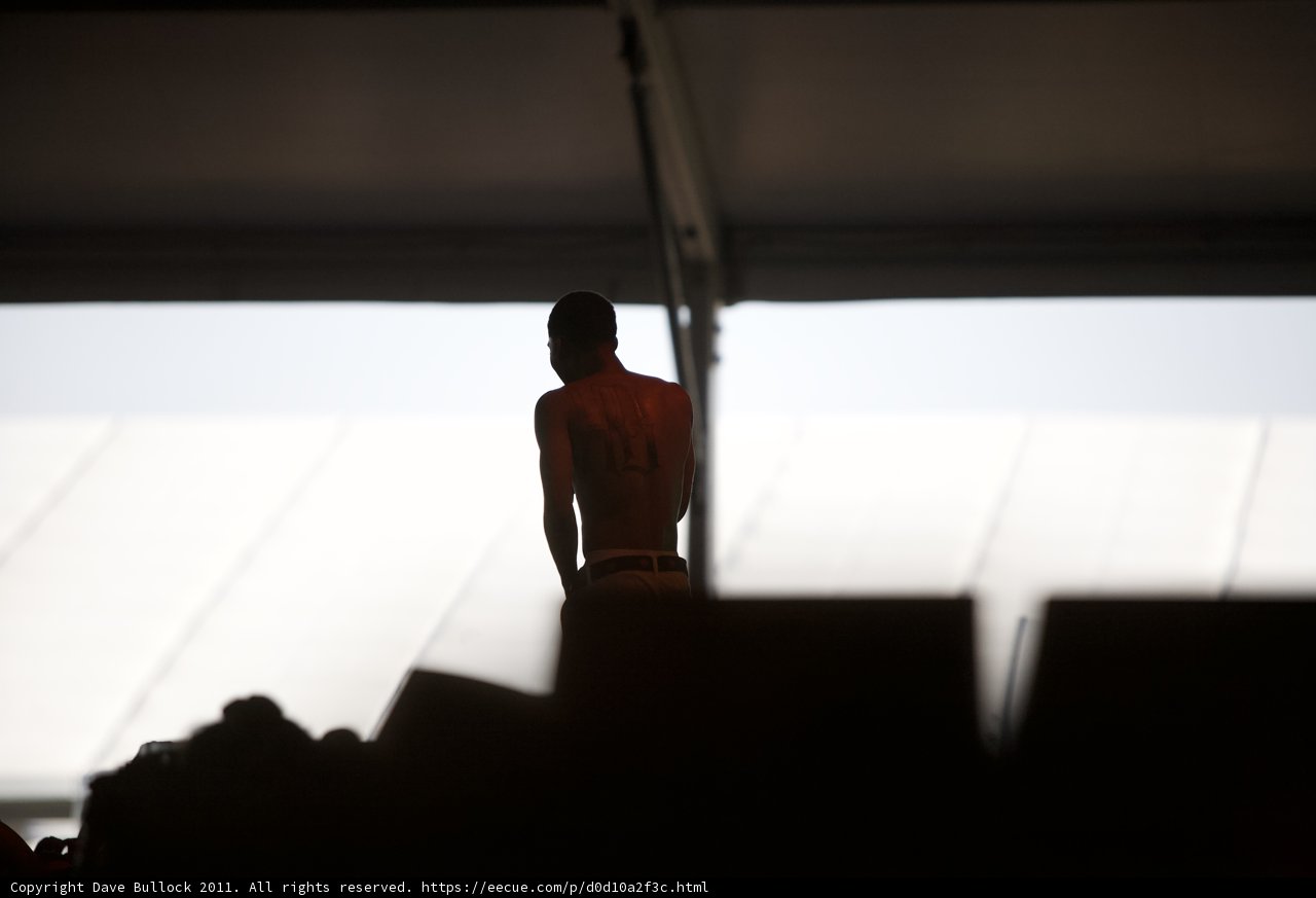Shadowed Figure at Coachella