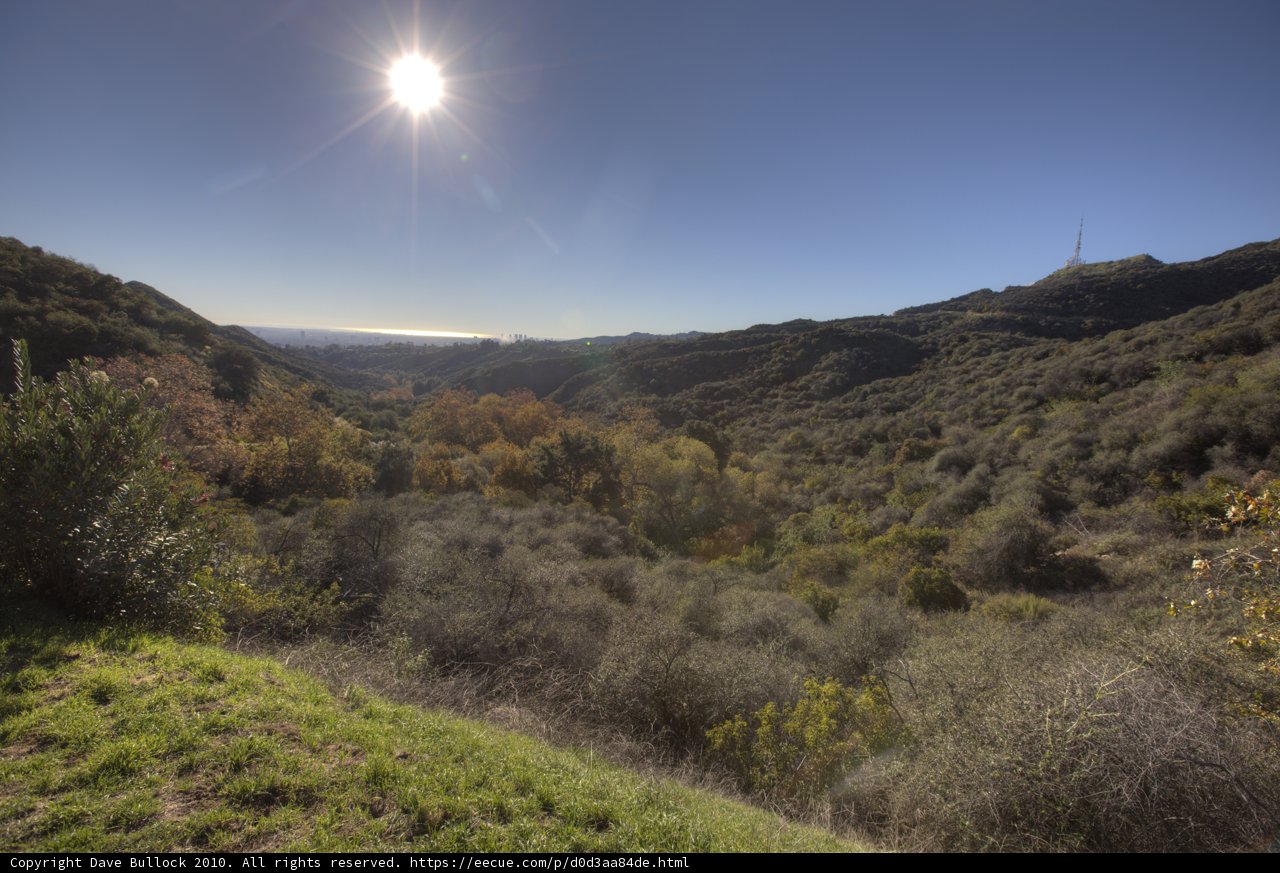 Sunshine Over The Wilderness