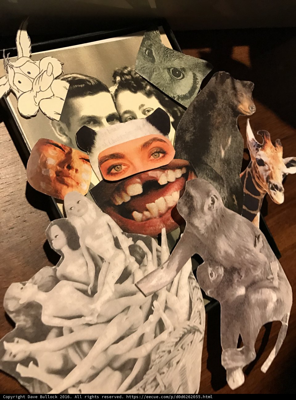 Collage of Art and Wildlife with a Woman