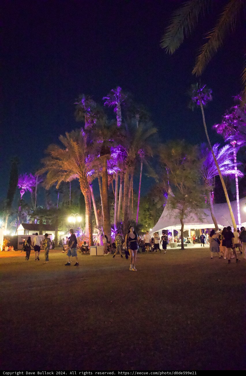 Neon Nights: A Vibrant Evening at Coachella 2024