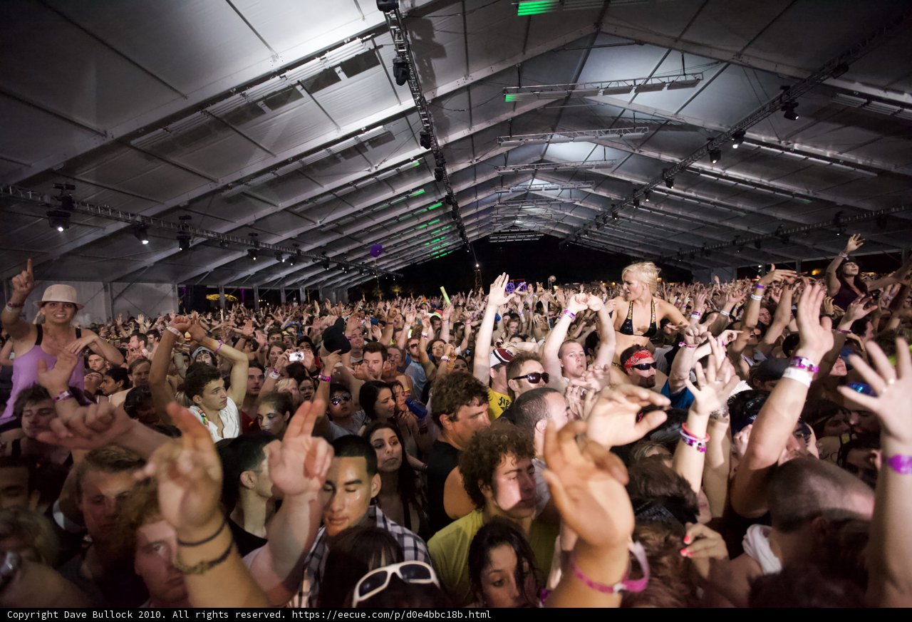Coachella 2010: Letting Loose at the Concert