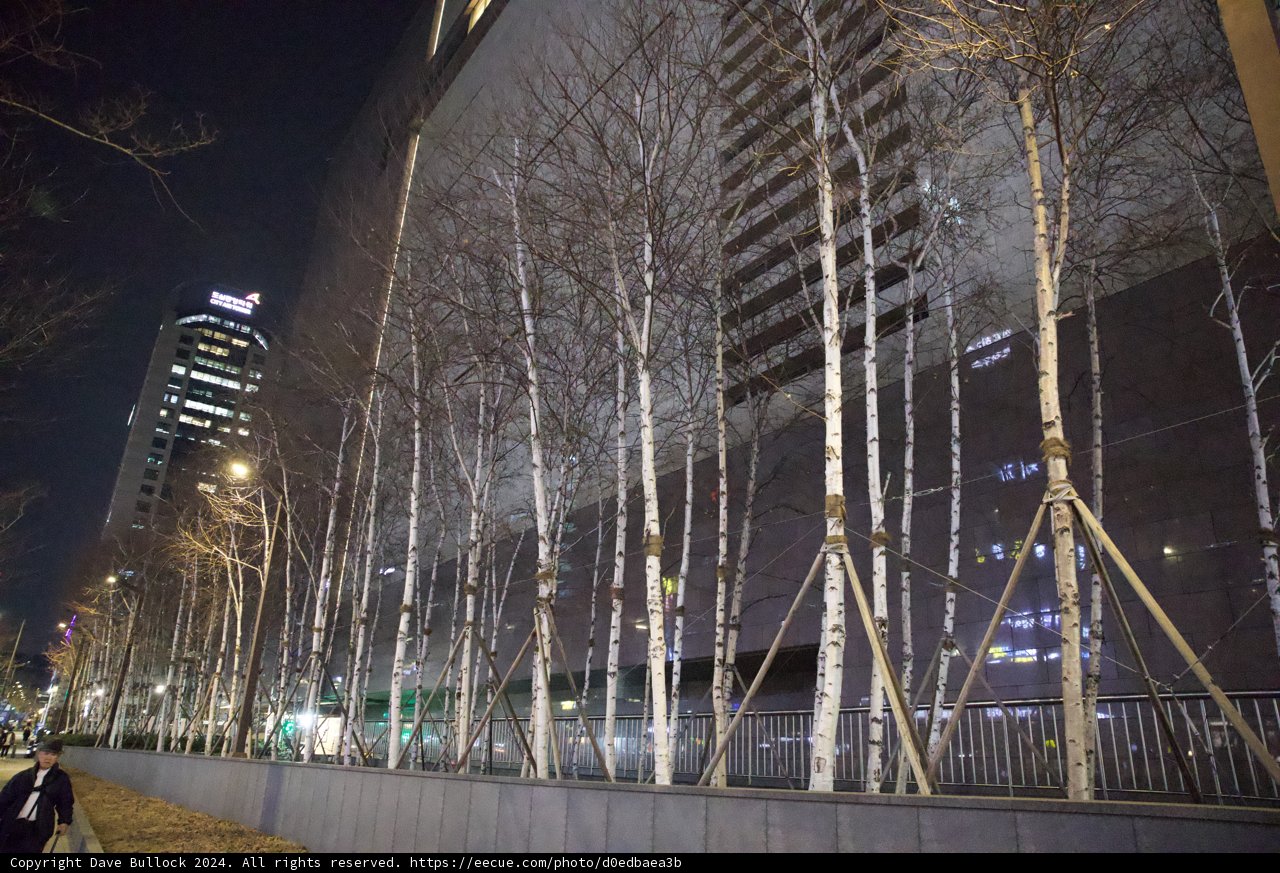 Nature Meets Architecture, Seoul Night Skies