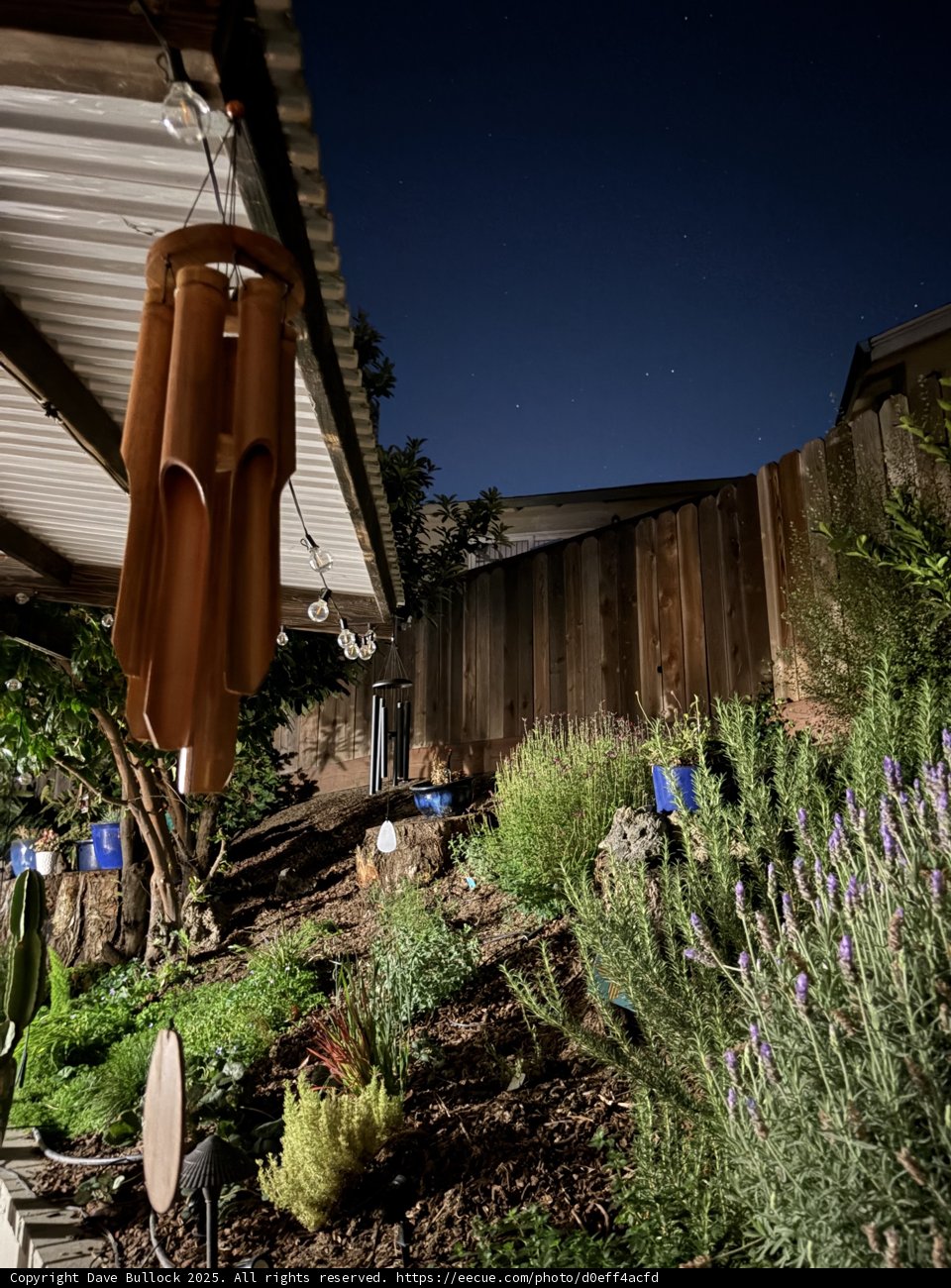 Moonlit Herbal Symphony
