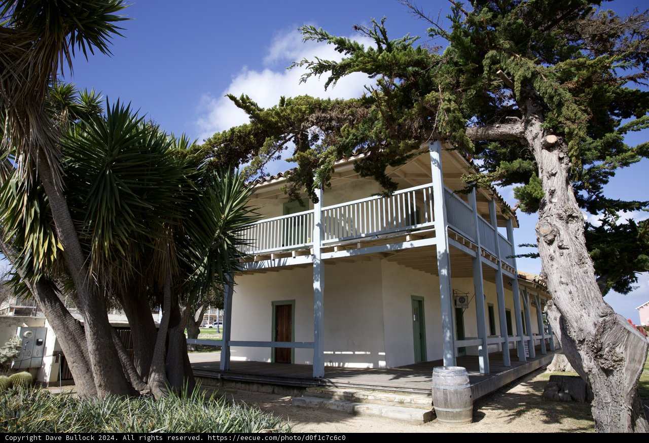 Monterey Dream House, 2024
