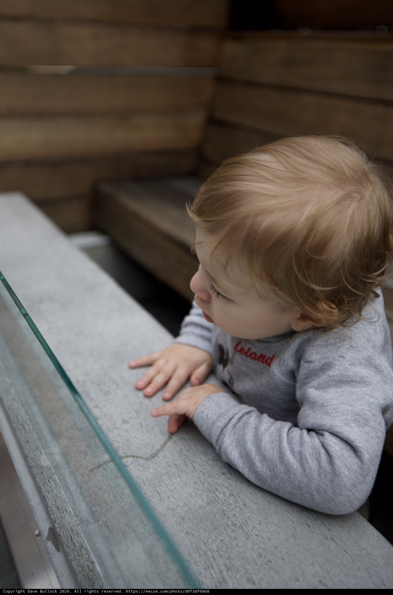 Curious Toddler Exploring Wooden Bench in SLO