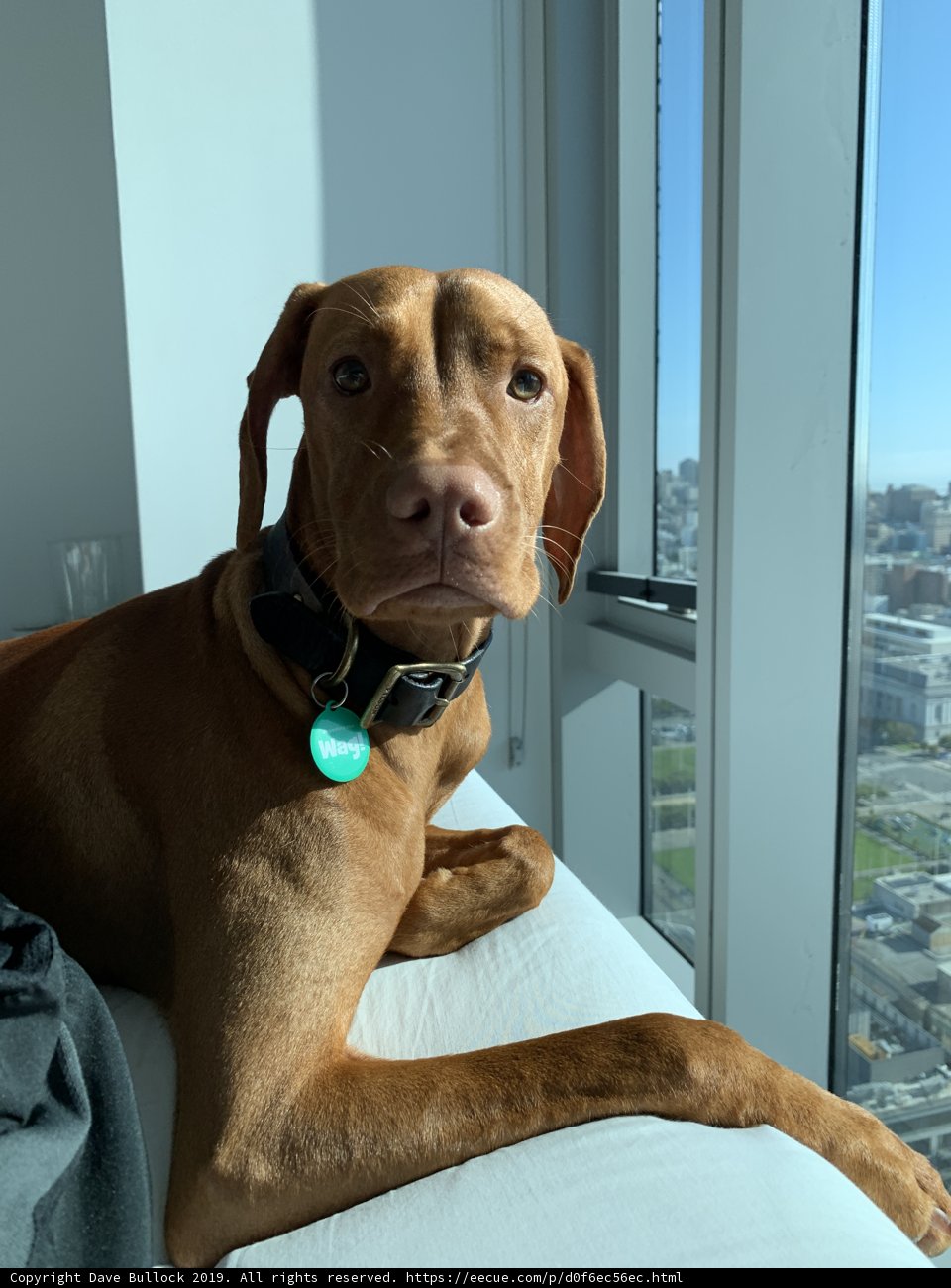Window Watcher