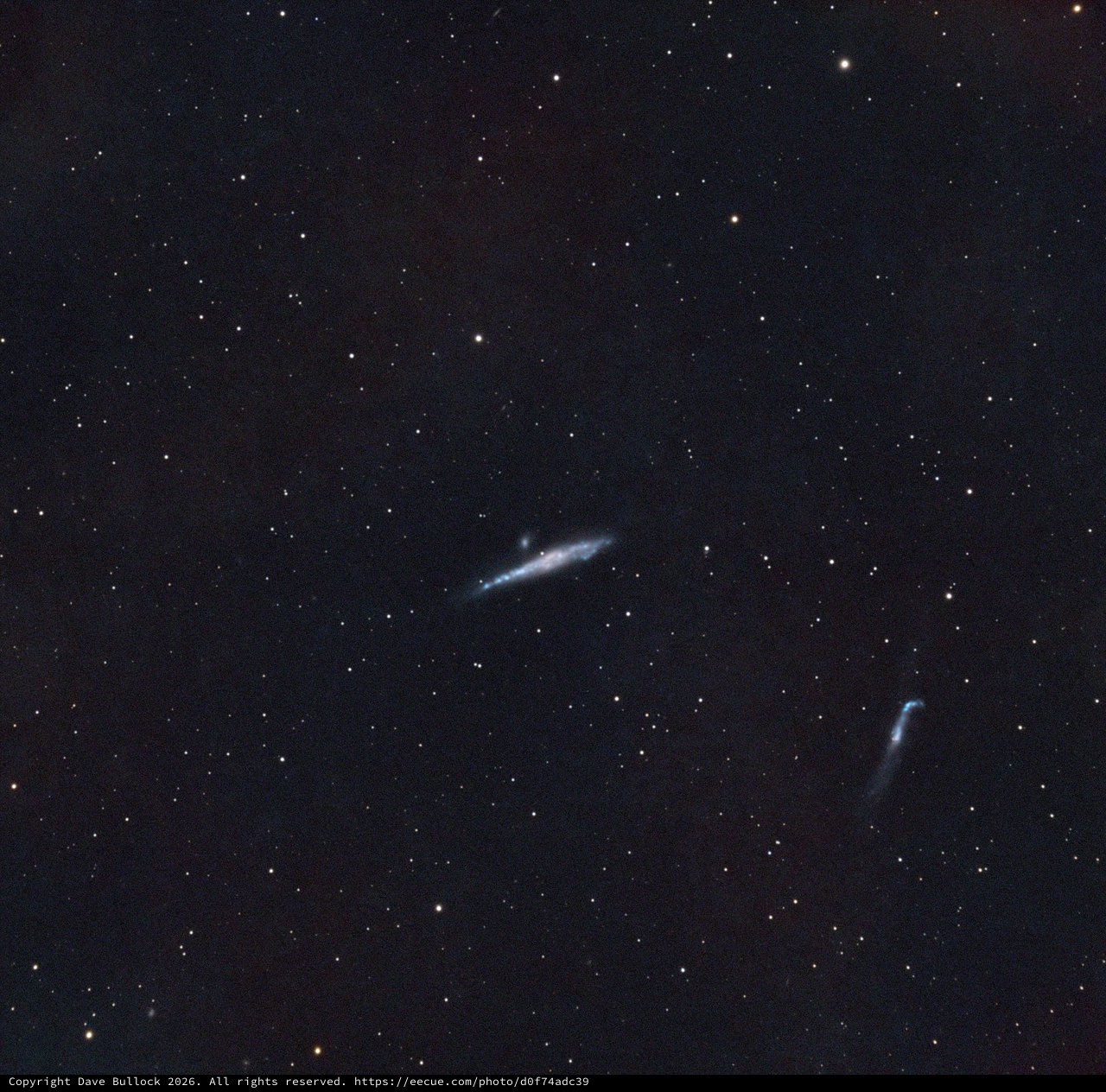 NGC 4631 - The Whale Galaxy in Narrowband SHO Palette