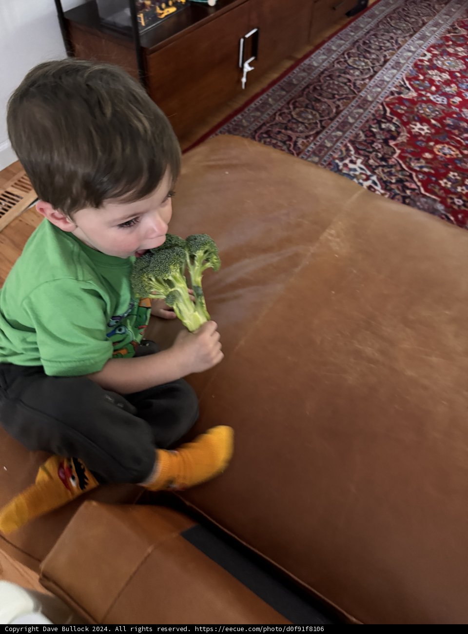Broccoli Break
