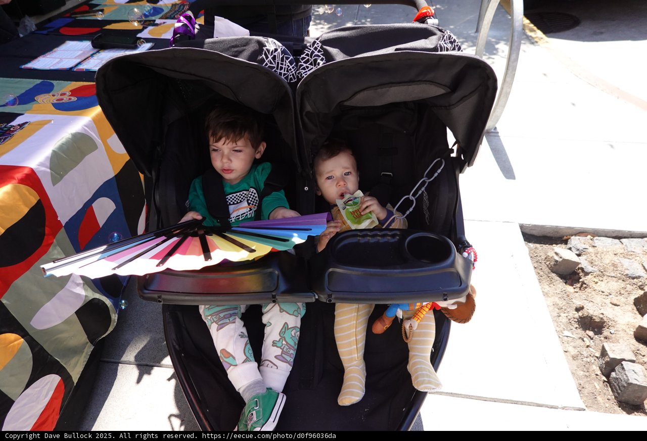Double Delight in the Stroller