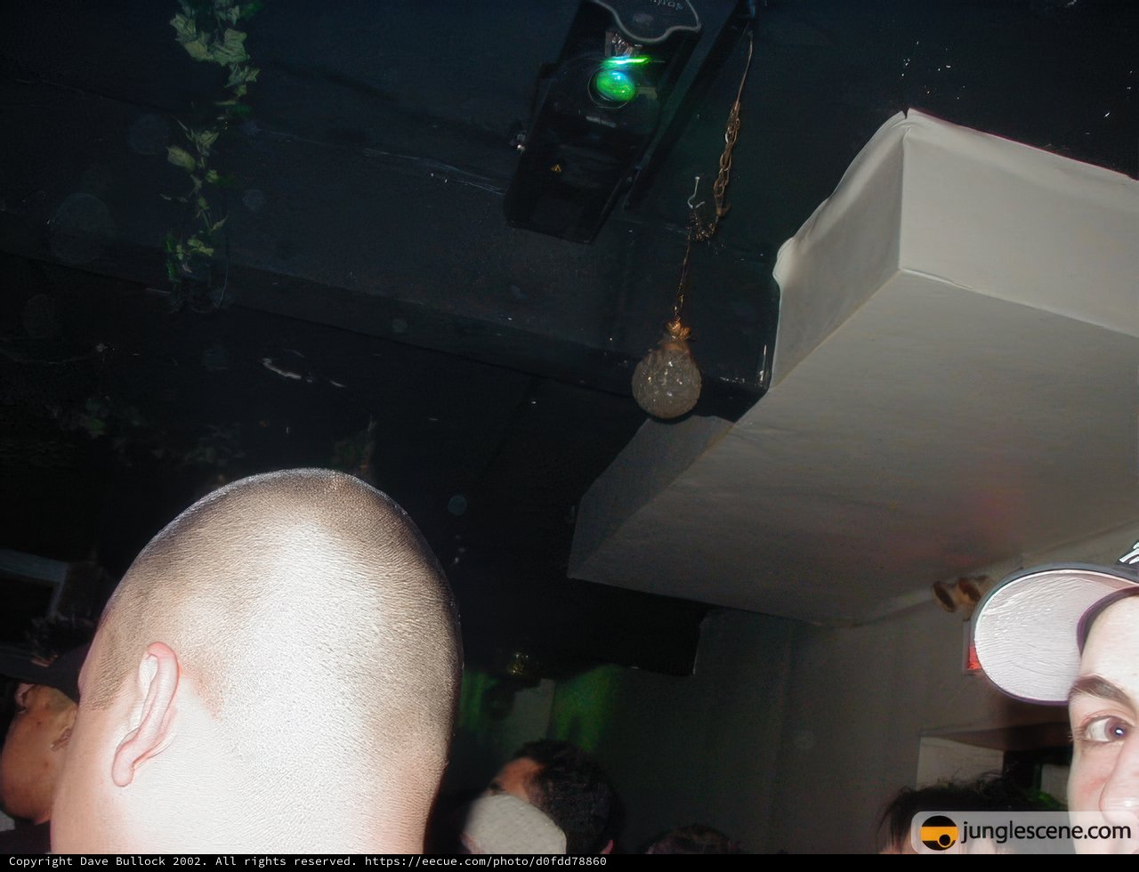 Spotlit in the Crowd