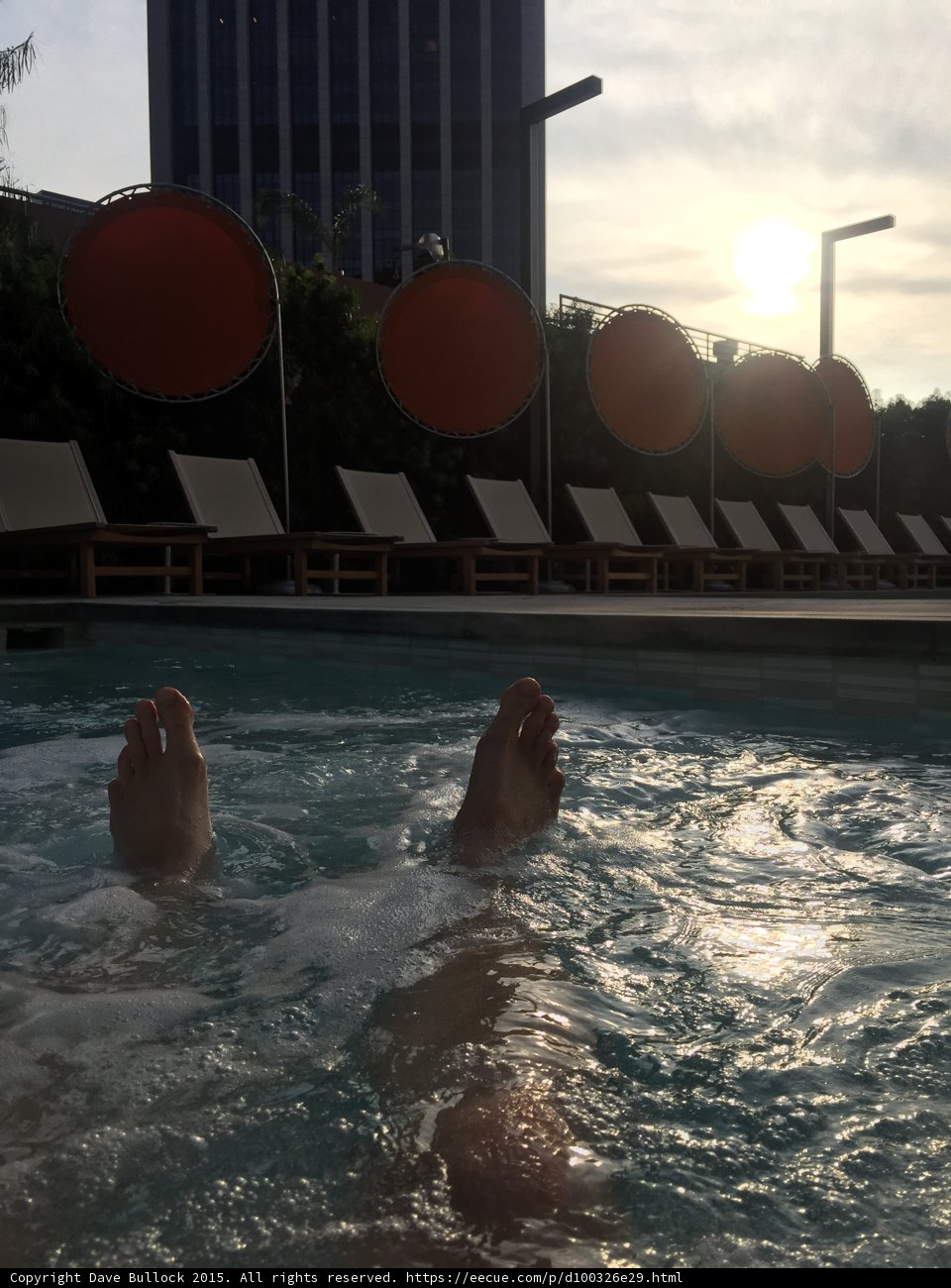 Soaking in Sunset