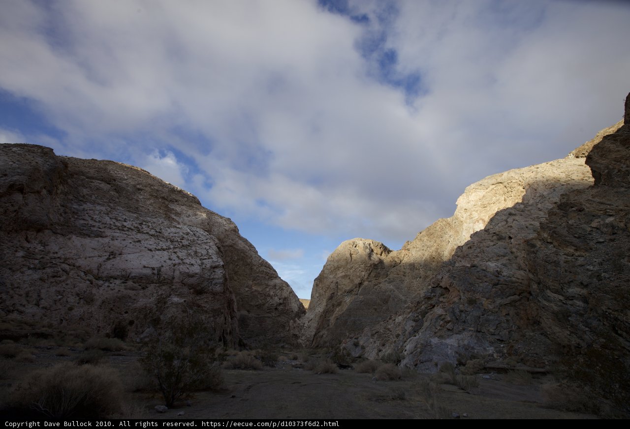 Above the Canyon's Edge